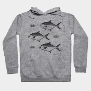 Fishy Fish Hoodie